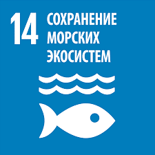SDGs14.png