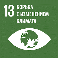 SDGs13.png